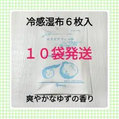 セラピタフィット　６枚×１０袋　湿布　医薬品ではありません