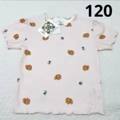 ソフトチーズ　ポメラニアン　Tシャツ 120