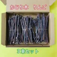 Item thumbnail for item d077ab6f-4c40-4a32-b7a5-d9fc4706898b