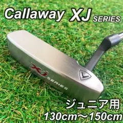 Item thumbnail for item be52ecef-7528-41f6-b940-9063f4fda209