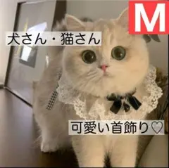 Item thumbnail for item d82e6530-5929-4ef9-87d8-9d776996fbc0