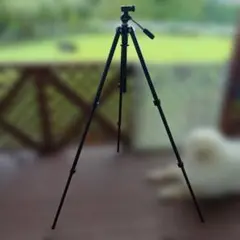 Item thumbnail for item e3b00ac8-c7b7-4d4b-aae9-64b59229b642