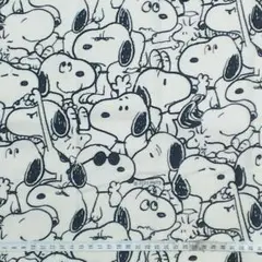 Item thumbnail for item 762da1fa-c2db-4375-bd11-2cf78e4f4e86