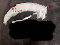 Item thumbnail for item 76d2a2dd-9759-4166-89bc-dce4ff54c851