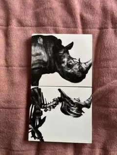 Item thumbnail for item becd1572-3e19-448b-906d-d6a8f7c43027