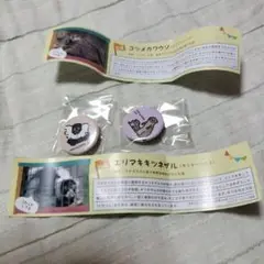 円山動物園 缶バッジ エリマキキツネザル カワウソ 2個セット