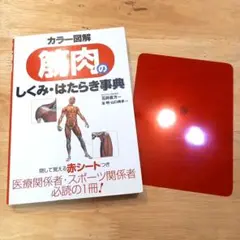 筋肉のしくみ・はたらき事典　カラー図解 石井直方 監修