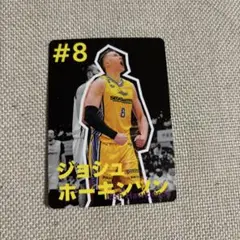 ホーキンソン #8 サンロッカーズ渋谷 トレーディングカード