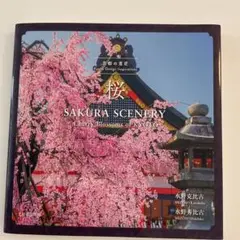 桜SAKURA SCENERY cherry blossoms of KYOTO