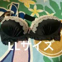 新品 未使用 ノンワイヤーブラショーツセット LLサイズ