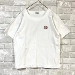 シンプル Tシャツ M ユニセックス ロゴ刺繍 ワンポイント 着回し アメカジ