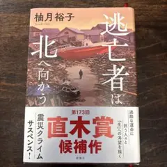 逃亡者は北へ向かう