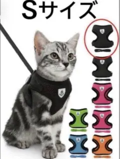 Item thumbnail for item 11983563-20f1-4b94-a8df-8c638848638d