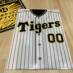 阪神タイガースくじ クリアファイル賞 山本泰寛