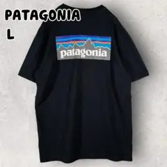 パタゴニア レスポンシビリティ 半袖Tシャツ マウンテンロゴプリント L