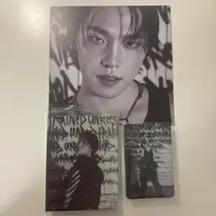【公式】SEVENTEEN ディノ バインダー