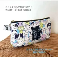 【訳あり特価・送料込】ころりんポーチ｜ジロジロキャッツ｜水色｜たっぷり収納