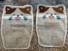 Item thumbnail for item 1b4e1ed8-1737-4fd6-906f-ed1d53357d86