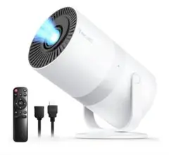 Item thumbnail for item d2b4a6ad-a3b5-4ec0-819c-871fe2ef7bb3