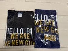 Item thumbnail for item d0dac43c-ca07-403f-8ad0-338d94c2106f