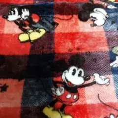 ブランケット 毛布 ミッキー ディズニー チェック