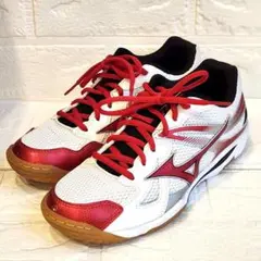 【MIZUNO】✨バレーボールシューズ　WAVE ODEEN　23.0cm　美品