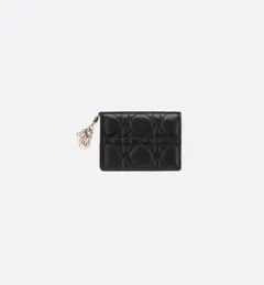 クリスマスプレゼントに♪Christian Dior カードケース/新品未使用
