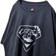 ヘインズ ヒーススーパーパンサーズ ロゴ Tシャツ ブラック 黒 L 古着