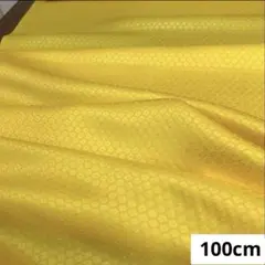 714 難色！正絹はぎれ レモン系 模様織柄生地 210cm