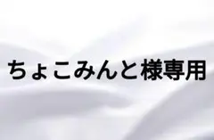 ちょこみんと様専用ネイルチップオーダー