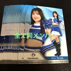 Item thumbnail for item 387711b8-77b2-40f1-bc3f-81f73a7ed18f