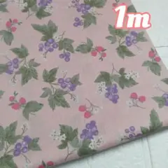 ❁ベリーベリー❁スケア生地1m