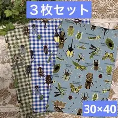 ３枚組★ランチョンマット★給食ナフキン★昆虫B