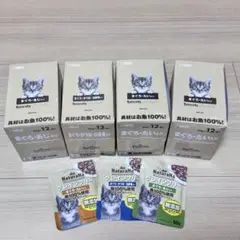 Item thumbnail for item b771d77c-d771-40f0-8510-0809cab8e1f7