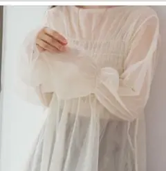 カスタネ シャーリングダブルチュールTEE 長袖ブラウス サイズF