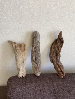 流木3本セット‼︎