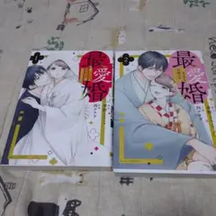 【サマーセール】最愛婚 全巻セット 1巻 2巻