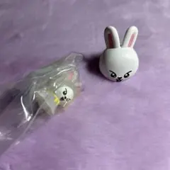skzoo リービットセット