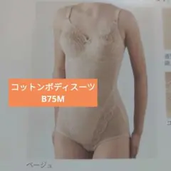 Item thumbnail for item e54599aa-d2b1-401f-ab61-81e63b0fd401