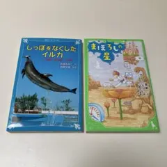 【美品】小学生低学年向け文庫本2冊セット（しっぽをなくしたイルカ、まぼろしの星）