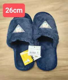 Item thumbnail for item 34711b0a-b298-43e3-a060-ab6503b8c1f8