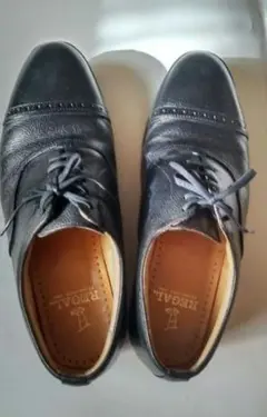 Item thumbnail for item 35f7ca6e-4387-4e1e-a8f2-8d492708d400