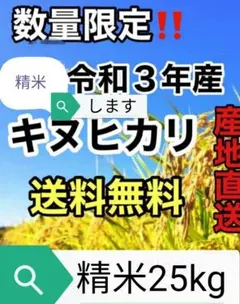 【送料無料】 奈良県産 キヌヒカリ25kg 無洗米して食卓にお届けします。