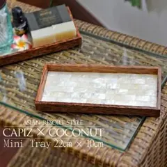 訳あり ココナッツツリー & カピス貝 シェルトレイ ２個セット 22ｘ10cm