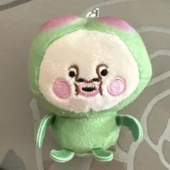 こびとづかん こびとづかんのぬいぐるみ ガチャガチャ スモモノウチ