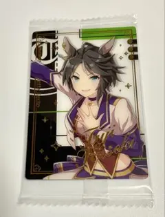 フジキセキ ウマ娘 プリティーダービー ツインウエハース