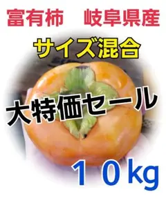 96 富有柿 10kg