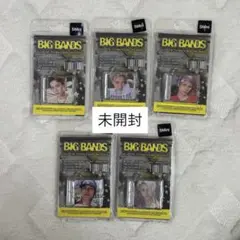 WayV BIG BANDS SMini 未開封 5種セット