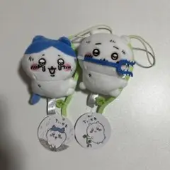 Item thumbnail for item 081b2c1a-c421-4390-911e-c0235b61e046