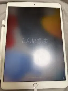 10.5インチiPad Pro 256GB ,Apple pencil